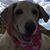 Annette Thomas's profile image