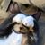 Chrystal Praytor's profile image
