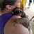 Terri Maples's profile image