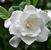 Tammy M Smrek's profile image