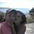 Karen Louise's profile image