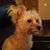 Sandi Martin's profile image