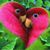 Maria Acosta's profile image