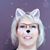 Christina Stankiewicz's profile image