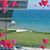 Sabiena Trav-Foster's profile image