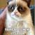 Melinda Raney's profile image