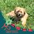 Lori von Ohlen's profile image