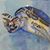 Maristela Diaz Sanchez's profile image