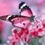 Trish Ann'e Hogan's profile image