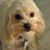 Dianne Azzi Marshall's profile image