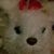 Rosita Frezita's profile image