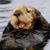 Lori Benkowski's profile image