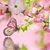 Barbara Vaillancour-Little's profile image