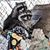 Malachi Law's profile image