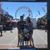 Sarah Pulecio's profile image
