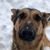 Amy Connolly Webber's profile image