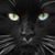 Rebecca Guler's profile image