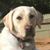 Linda Hunter Bohn's profile image