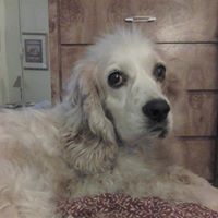 Rita Maria Gonzalez's profile image