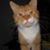 Tracey G. Giesen's profile image