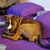 Janice Salvey's profile image