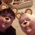 Heather Hook's profile image