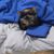 Claudia Williams's profile image