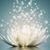 Dawn Armstrong's profile image