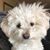 Carolyn LaRue Anderson's profile image
