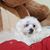 Tina Baleroni's profile image