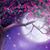 Debbie Massa's profile image