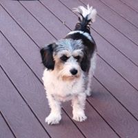 Patsy Martin Yates's profile image