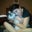 Jennifer Lavey's profile image