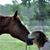 Jan Graham Marquardt's profile image