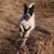 Julie Pfeiffer's profile image