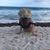 Megan Paetz's profile image