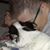 Diane Paxton's profile image