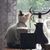 Karen Tichenor's profile image