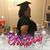 Kristy Dinatale-King's profile image