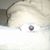Daniel Whallon's profile image