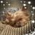 Kat White's profile image