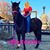 Davree Daly's profile image