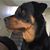 Tammy Nieding's profile image