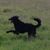 Julie Mallory Webber's profile image