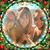 Paula Valenti's profile image