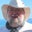 Richard Labrie's profile image