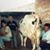 Carlos Marquez's profile image