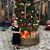 Carol Dougherty's profile image