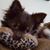Kimberly Smith's profile image