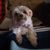 Sandy Zan Deery's profile image